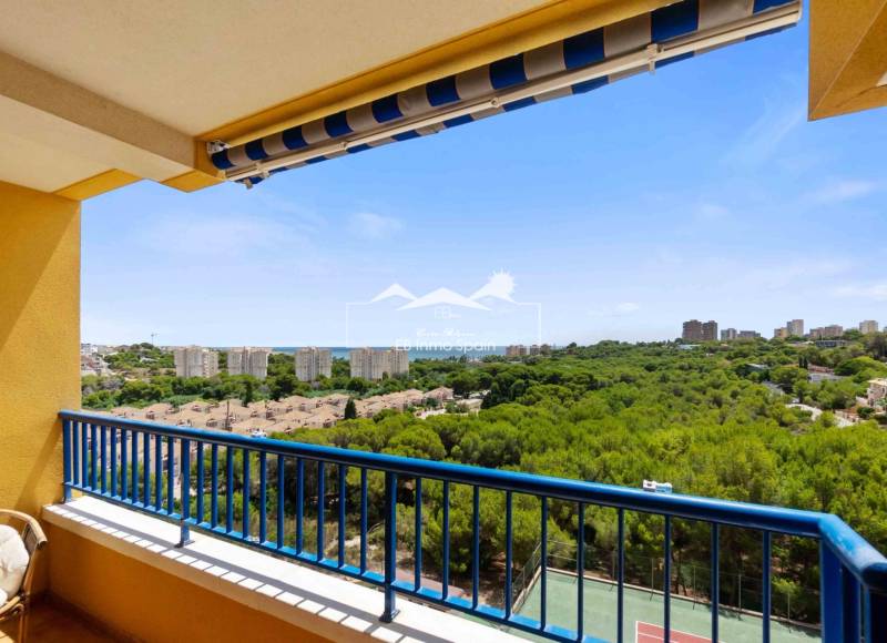 Apartamento - Segunda mano - Orihuela Costa - Campoamor