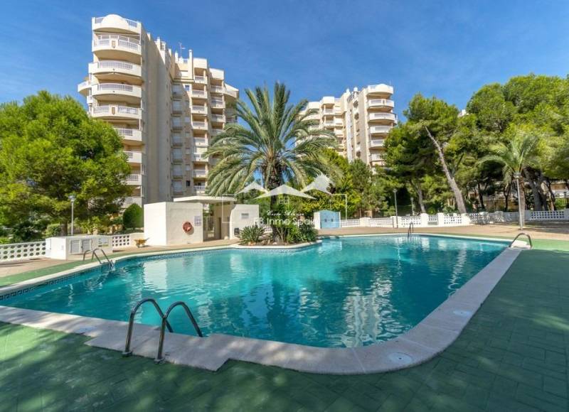 Apartamento - Segunda mano - Orihuela Costa - Campoamor