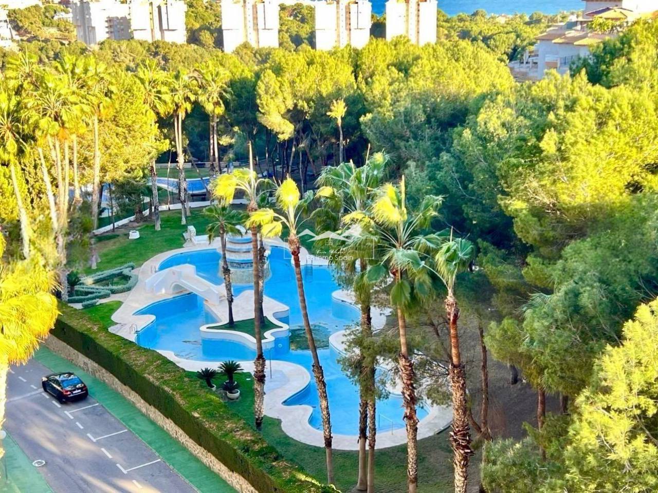 Apartamento - Segunda mano - Orihuela Costa - I-41675