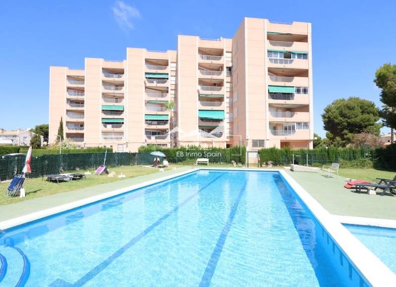 Apartamento - Segunda mano - Orihuela Costa - La Zenia