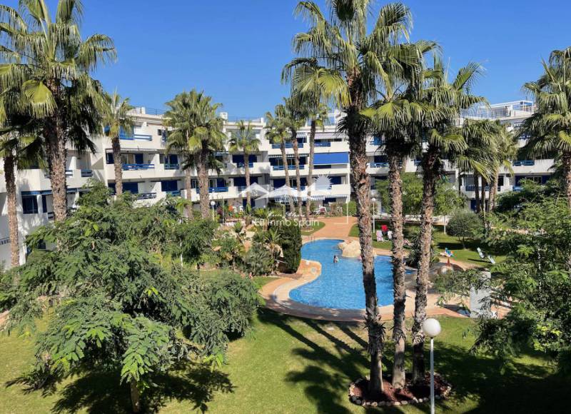 Apartamento - Segunda mano - Orihuela Costa - Playa Flamenca