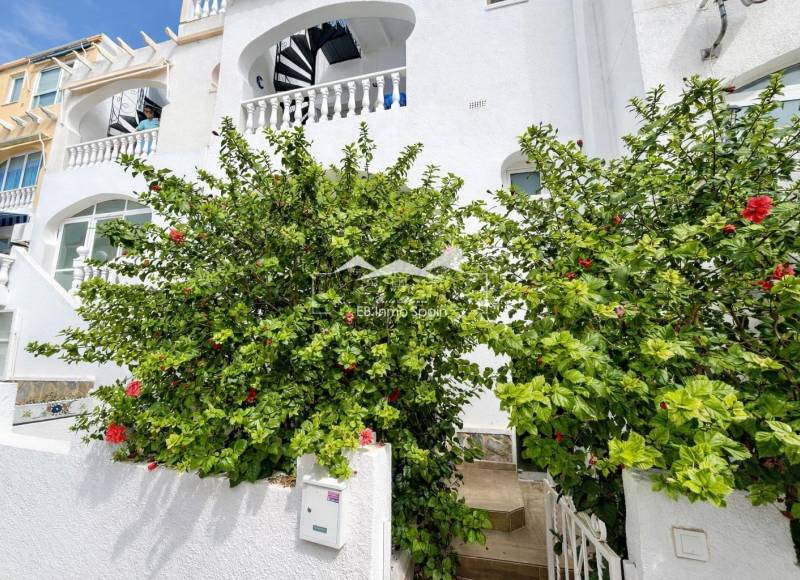 Apartamento - Segunda mano - San Miguel De Salinas - Las filipinas