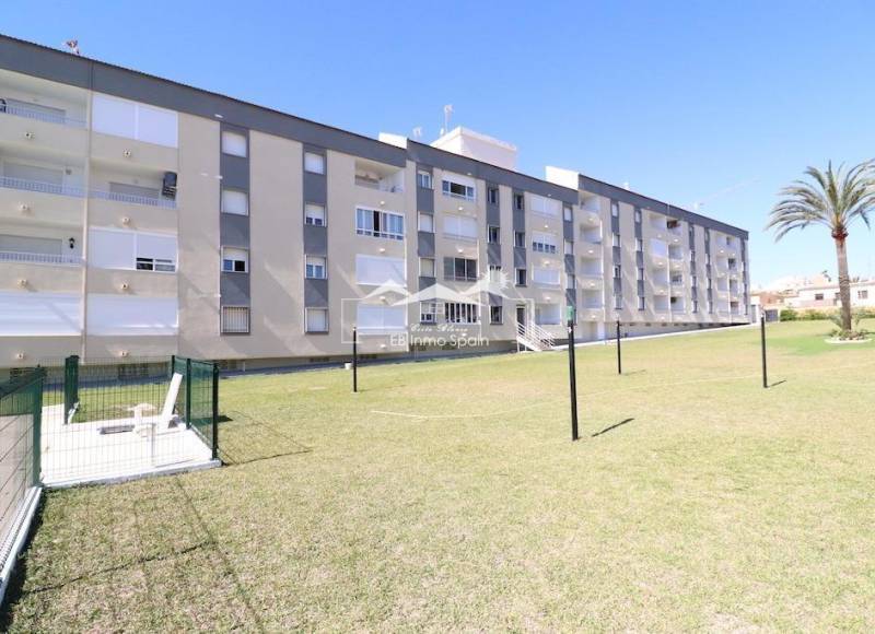 Apartamento - Segunda mano - Torrevieja - Punta Prima