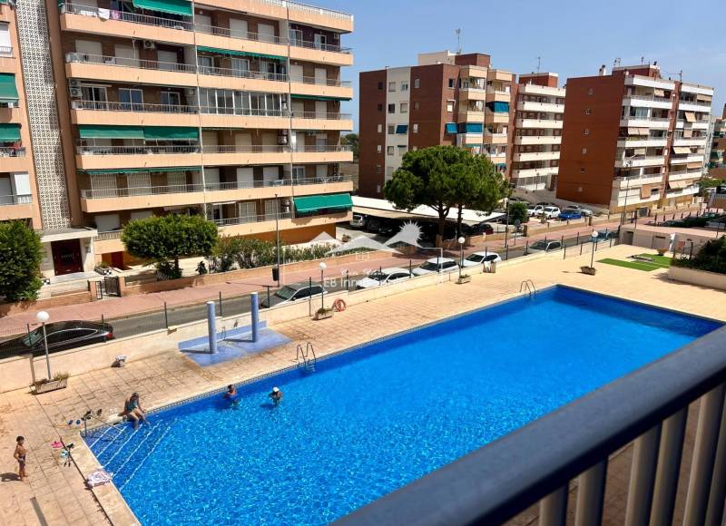 Apartamento - Segunda mano - Torrevieja - Punta Prima