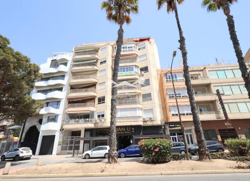 Apartamento - Segunda mano - Torrevieja - Torrevieja