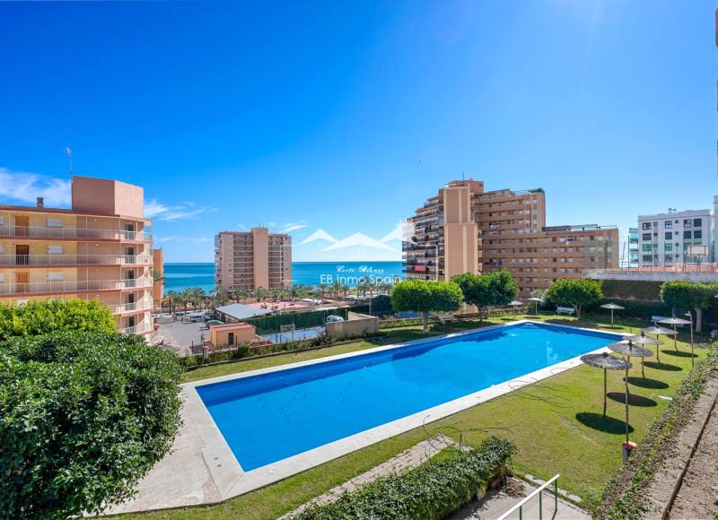 Apartment - Resale - Arenales del Sol - Segunda linea playa