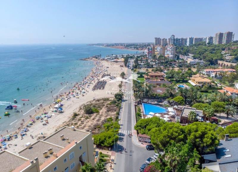 Apartment - Resale - Orihuela Costa - Campoamor