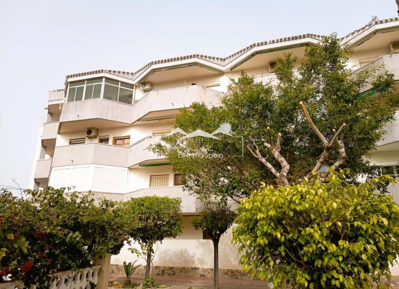 Apartment - Resale - Orihuela Costa - La Regia