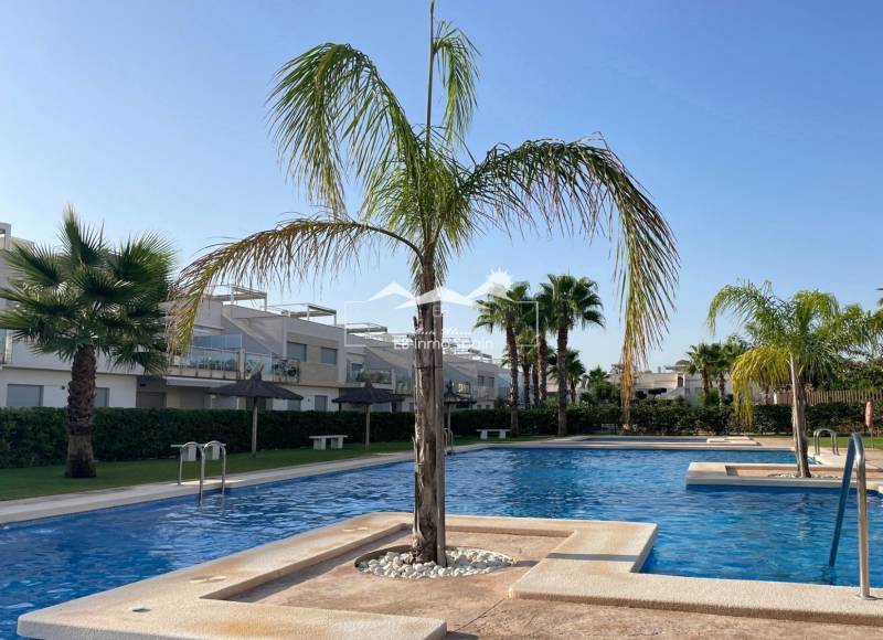 Appartement - Seconde main - Vistabella Golf - Vistabella Golf