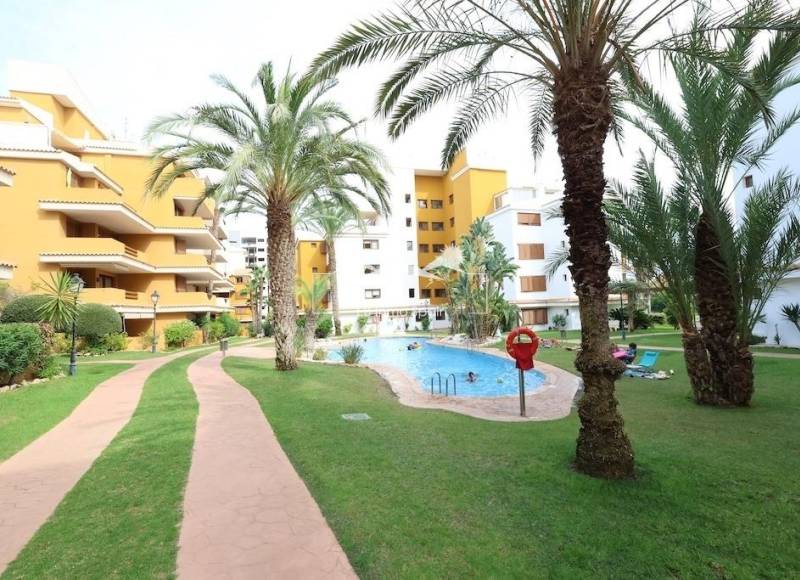 Ático - Segunda mano - Torrevieja - Punta Prima
