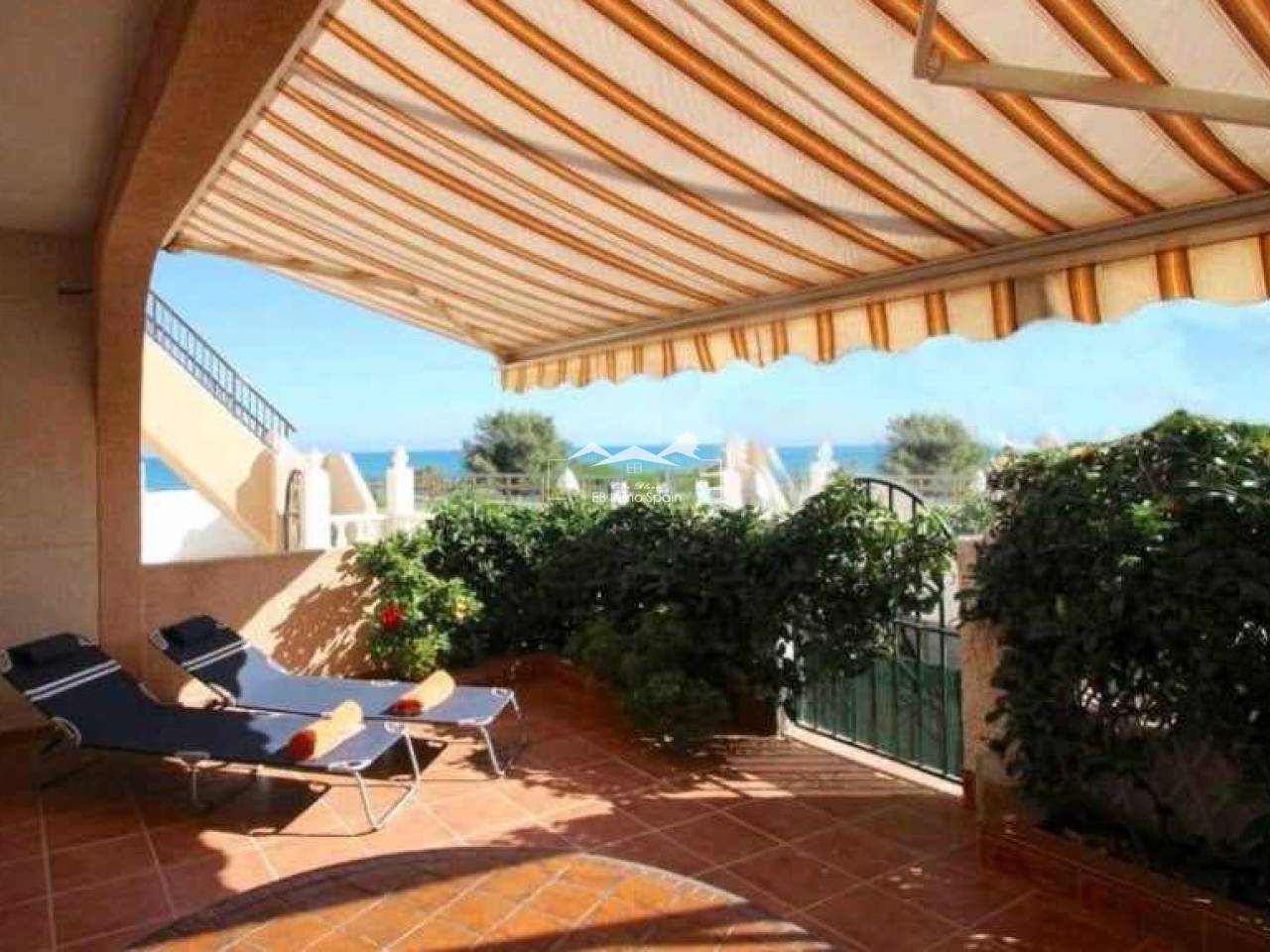 Bungalow - Location courte durée - La Mata - EBA005