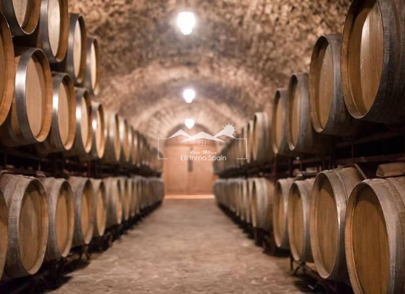 Cellar - Segunda mano - Albacete - Albacete