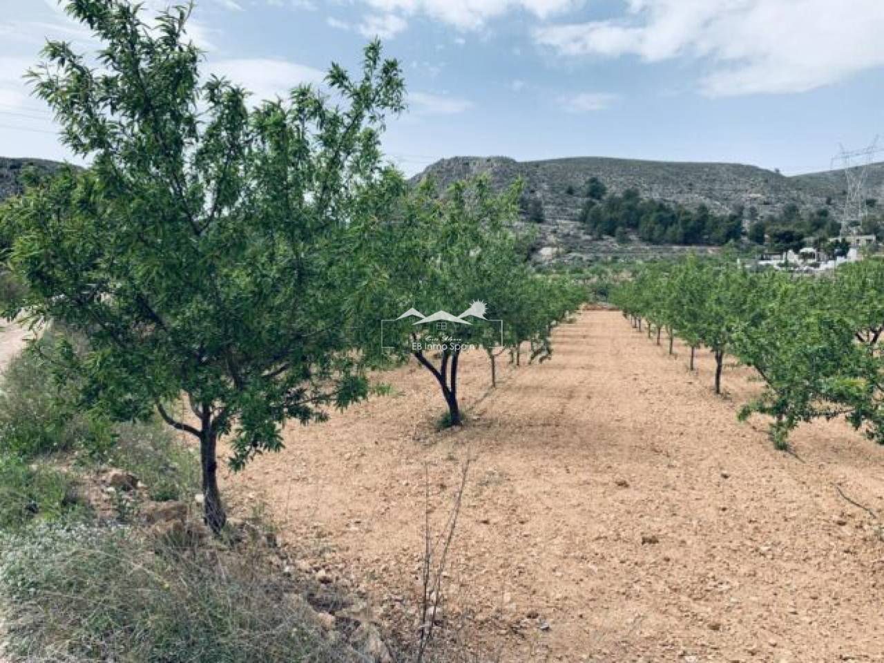land - Resale - La Romana - MSC-78578