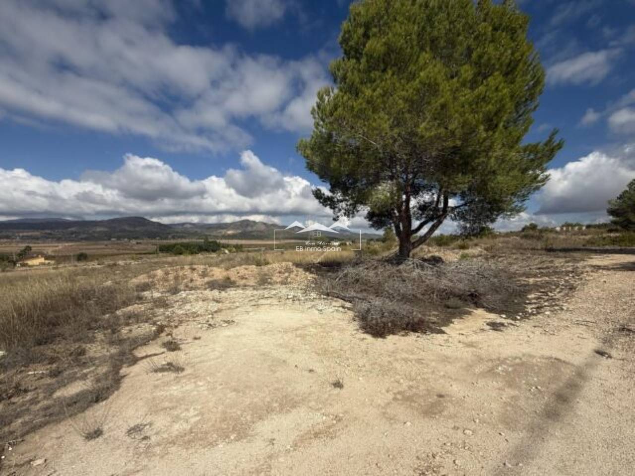 land - Resale - Monovar - MCS-57531