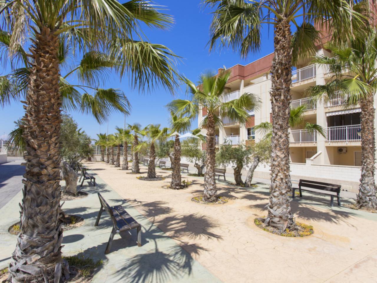 Penthouse - Seconde main - Cabo Roig - EB17