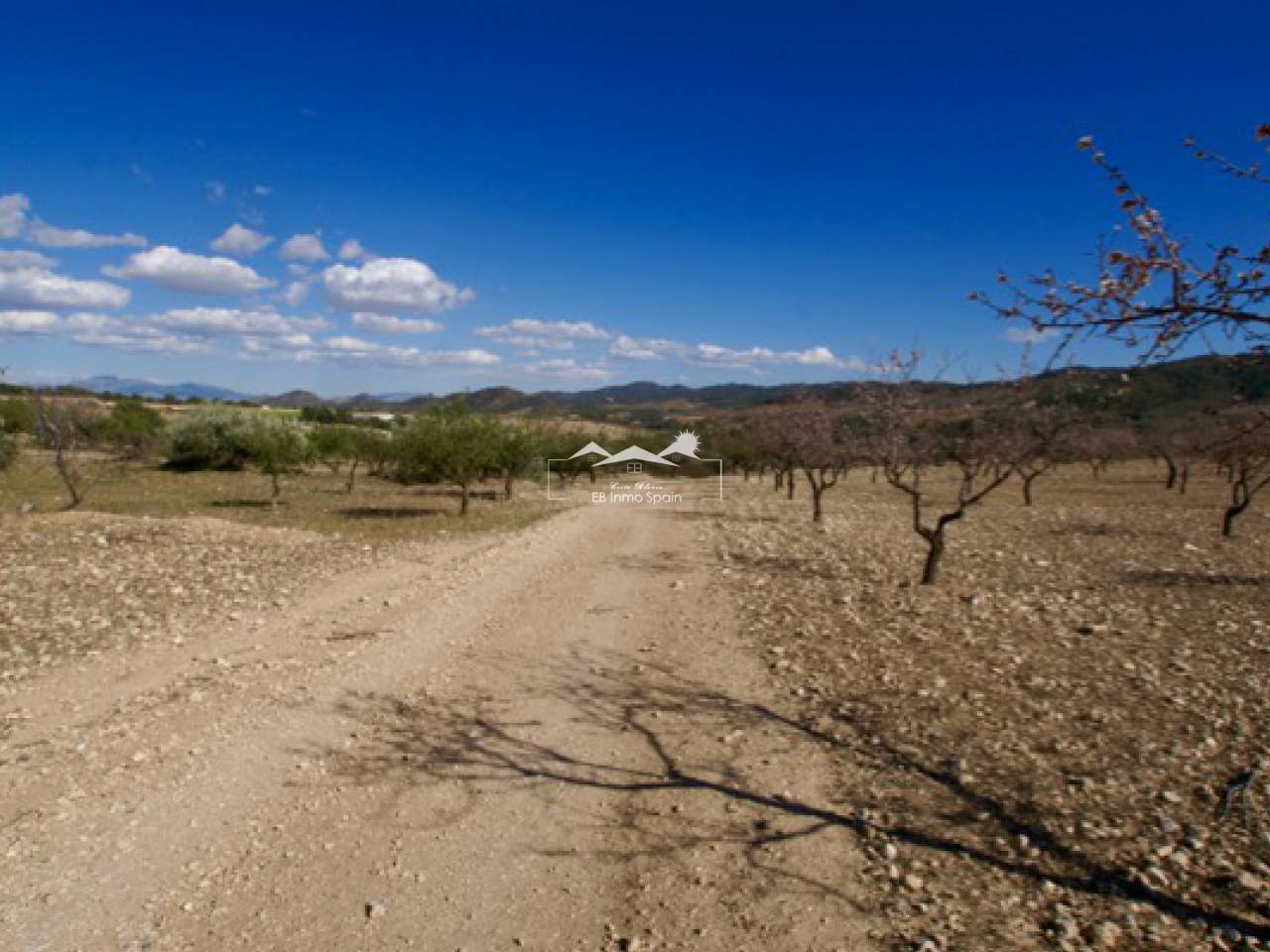Plot - Resale - Murcia - SP-90994