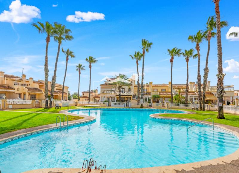 Quad House - Seconde main - Orihuela Costa - Playa Flamenca