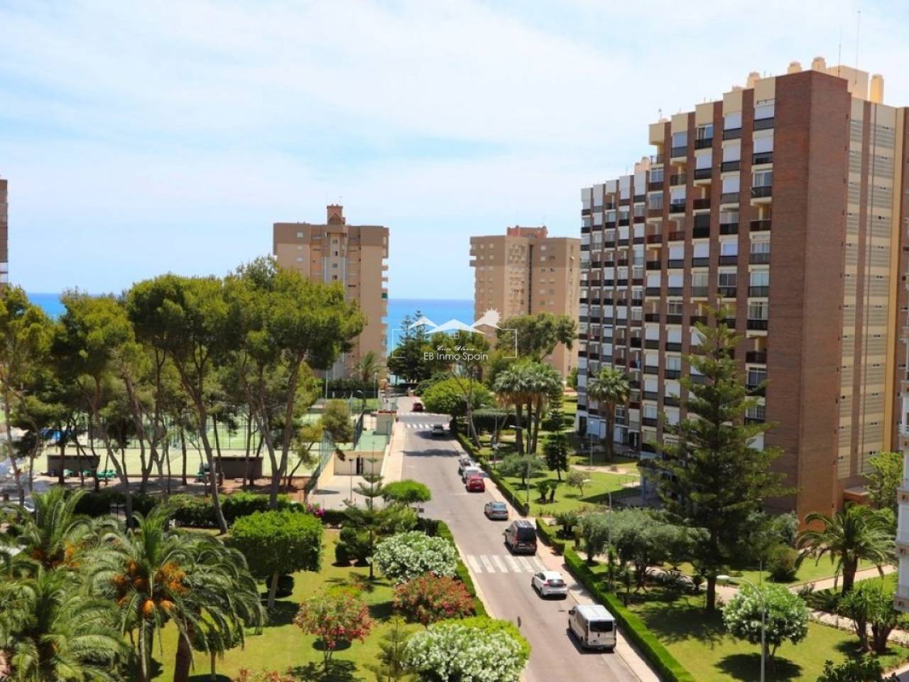 Studio - Seconde main - Orihuela Costa - EBJU-69844