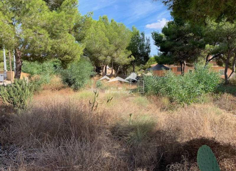 Terrain - Seconde main - Algorfa - Montemar