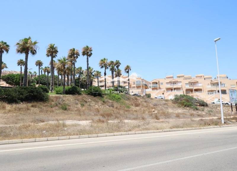 Terrain - Seconde main - Torrevieja - Cabo Cervera