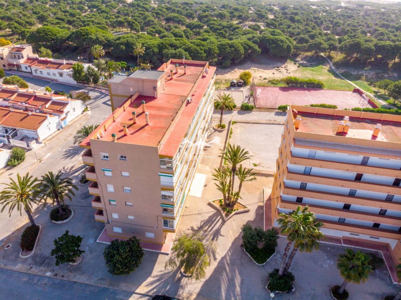 Seconde main - Appartement - Guardamar del Segura - Pinomar